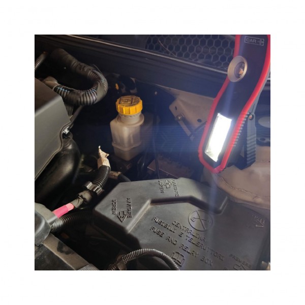 LAMPARA DE TALLER - 3 PILAS - ES - LWLMP10